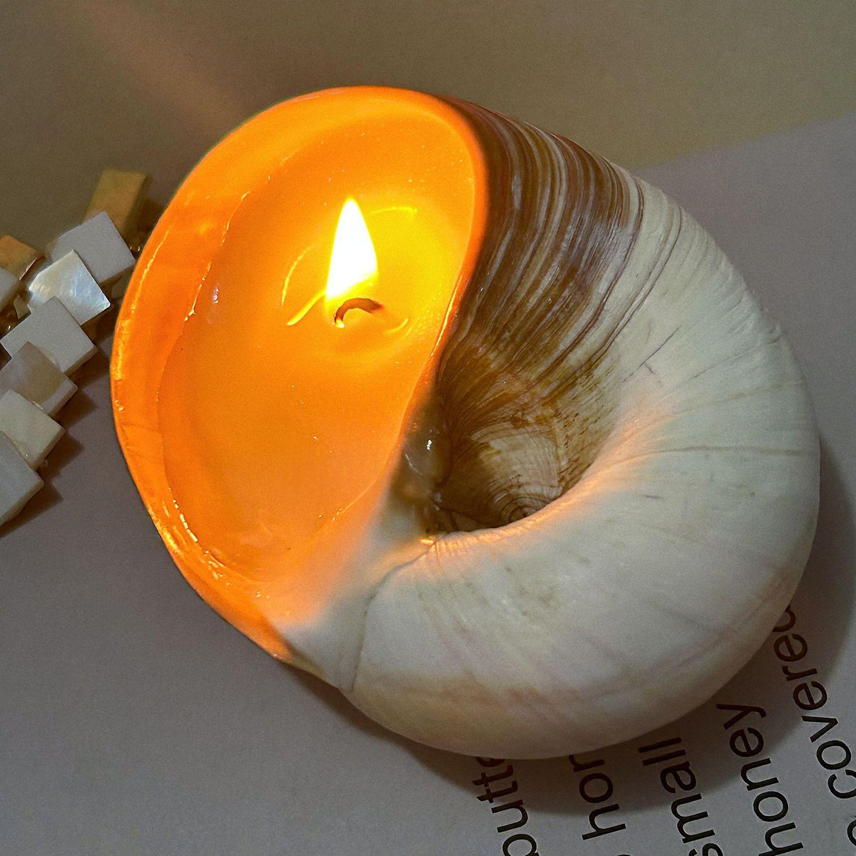 Bougie coquillage ERMITUS allumée dans une coquille naturelle pour une ambiance douce et parfumée